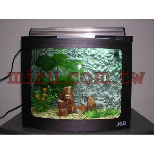 J&D高品質1尺海灣電視照景缸(各式魚缸可接受訂製)