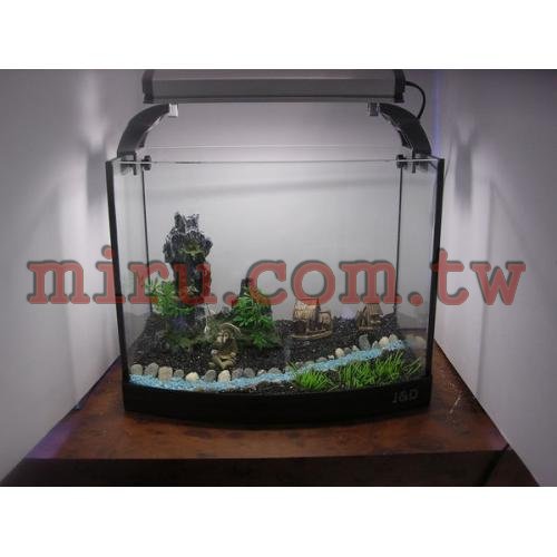 J&D高品質1呎海灣照景缸(各式魚缸可接受訂製)