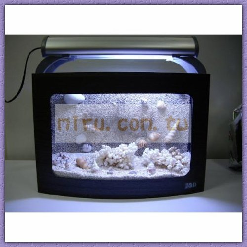 J&D高品質39CM電視珊瑚照景缸加水就可養