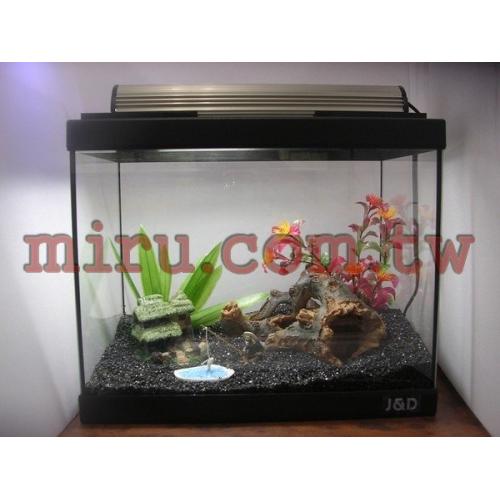 J&D高品質1呎照景缸(缸+燈+過濾)