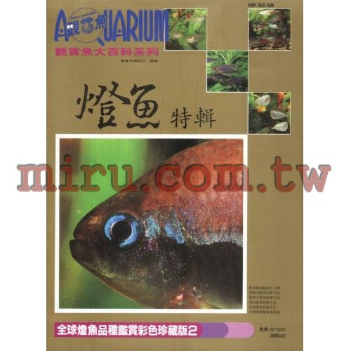 AZOO書籍 觀賞魚大百科 燈魚特輯