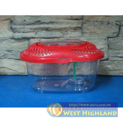 超可愛手提箱 寵物箱 烏龜