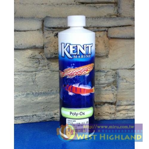 美國KENT MARINE 強效除藻劑 16oz